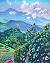 Above Boquete