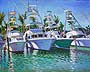 Charter Fleet