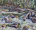 Merced Logjam