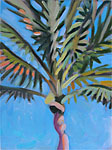 Palm 3