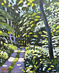 Sunlight in the Forest