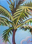 Higgs Beach Palm III
